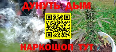 mdpv Можга